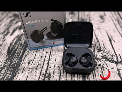 Sennheiser Momentum Sport - My New Favorite Gym Earbuds