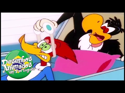 Capa de Pica-Pau em Português | Estilo de vida de Hollywood | Desenhos Animados