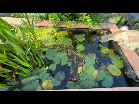 Valchiusella - Parte 1 -