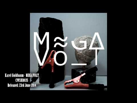 Karel Goldbaum - Steel