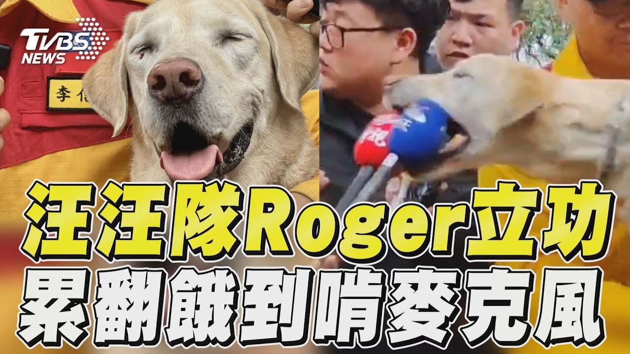 花蓮地震/搜救犬Roger立功尋獲第3具遺體 好累仍萌笑咬麥克風