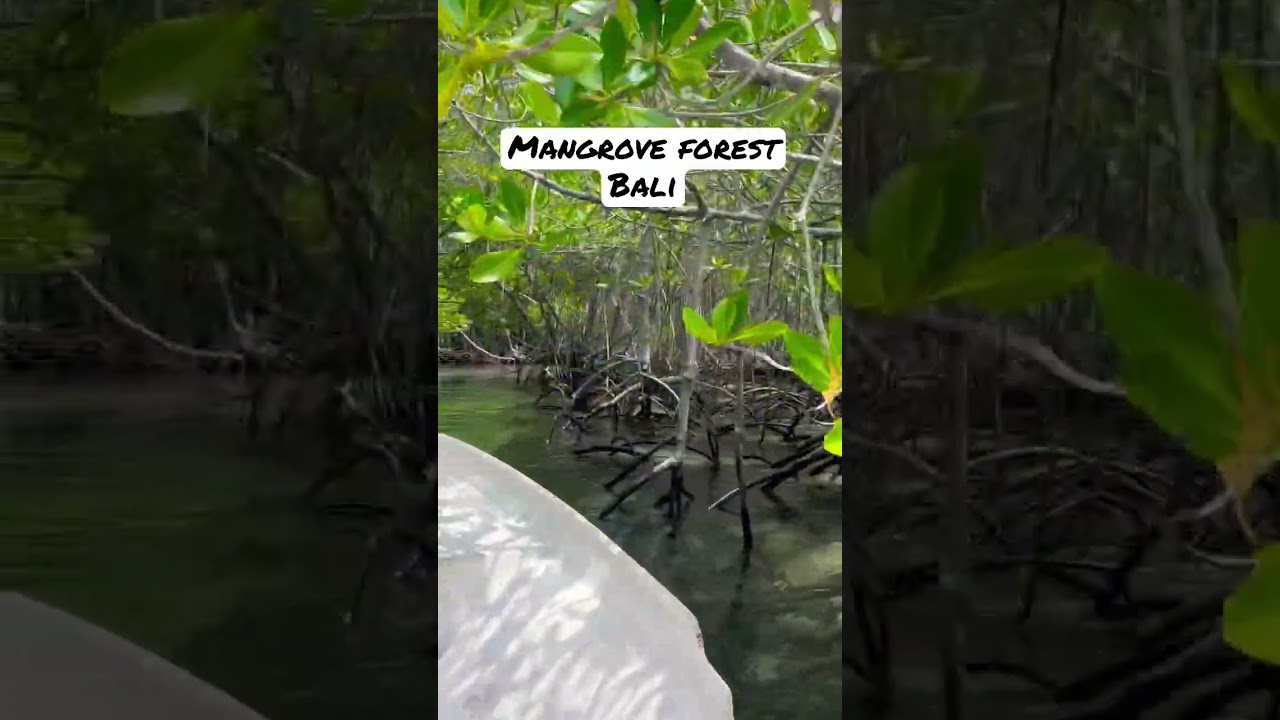 YouTube Short thumbnail