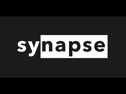 synapse - Guess the word