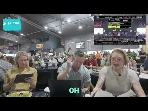 Gai Mic’d Up - Lot 455 I Am Invincible x Lankan Star