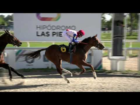 CARRERAS HIPODROMO LAS PIEDRAS - 211112 c08 1° SEÑORA TORMENTA