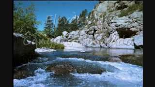 preview picture of video 'Fly Fishing Elevenmile Canyon'
