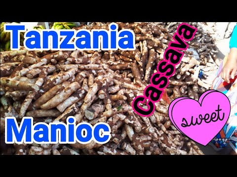 download lagu mp3 mp4 Common Fruits In Tanzania, download lagu Common Fruits In Tanzania gratis, unduh video klip Common Fruits In Tanzania