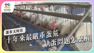 [問卦] 台灣是不是開始缺蛋循環？