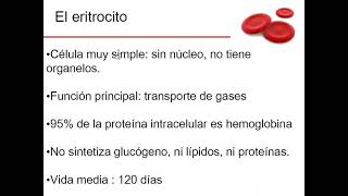 Metabolismo del eritrocito - Profundizaciones