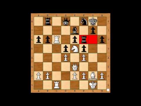 7.4. GM Evgeny Gleizerov - GM Robert Cvek, 1.časť