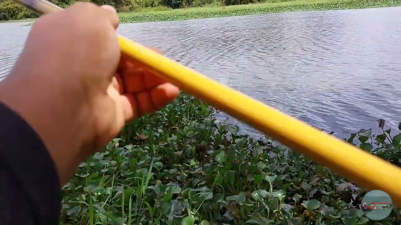 PESCARIA DE PIRAMBEBA # BETINHO#Video Antigo /2⁰ canal 👉 @CasalMkAlagoas