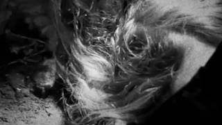 Brainwaltzera – aegis outdive [sF]  [2017]