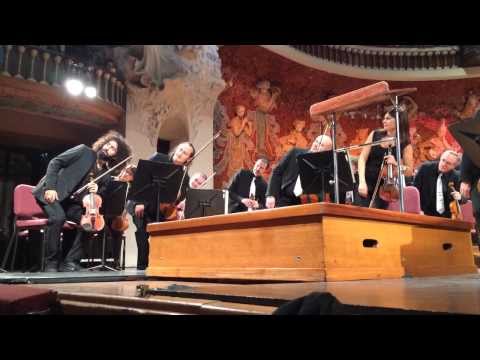 Ara Malikian Palau de la música 2014