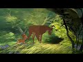 Bambi 2 Scena Finale