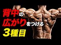 【筋トレ】背中の広がりを効率よくつける3種目の紹介 | 現役ボディビルダーが解説【ビーレジェンド プロテイン】