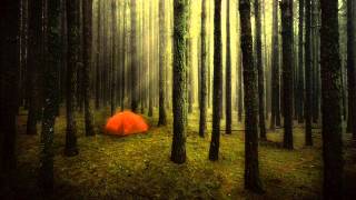 週一情侶小情歌 ♥. Cody Chesnutt - 5 On A Joyride