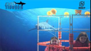 DIA 2 Expo Tiburon252