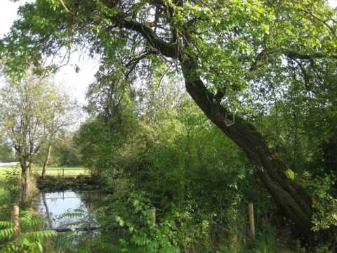 Kathi Stimmer-Salzeder - ZusammenWachsen