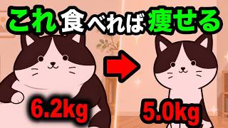 【食べて痩せる】絶対に成功する猫のダイエット法を獣医師が解説【猫の食事がわかる本㊶ P146】
