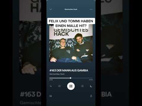 FELIX UND TOMMI HABEN EINEN EIGENEN SONG? 😂  #gemischteshack