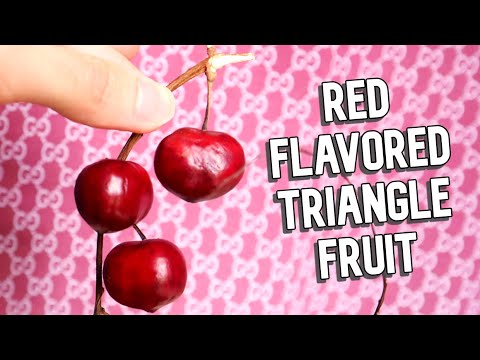 TERENGGANU CHERRY - This Weird Fruit Tastes Like Red Pop! (Lepisanthes alata) - Weird Fruit Explorer