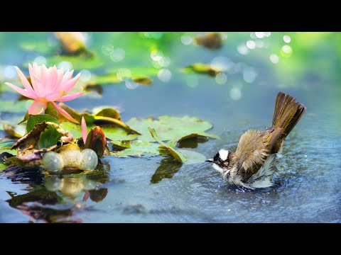 ❤️Эдгар Туниянц .  Обворожительно Красивая Мелодия для Души. 🎧