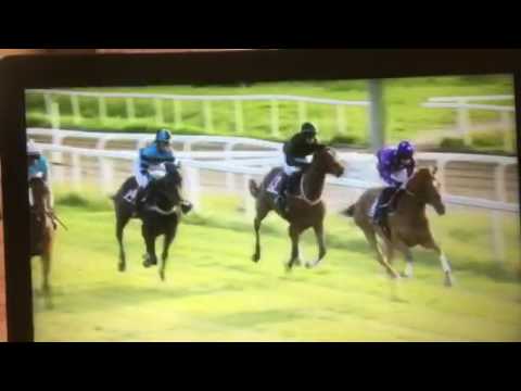 Varhekken Hurdle, Ovrevoll (nor) 26/05/2016