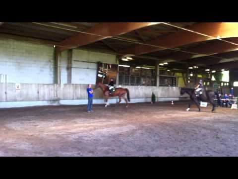 Emma reitet. 18. Mai 2014