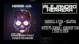Calavera vs Somebody That I Used To Know - AH Edit