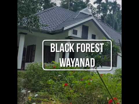black forest
