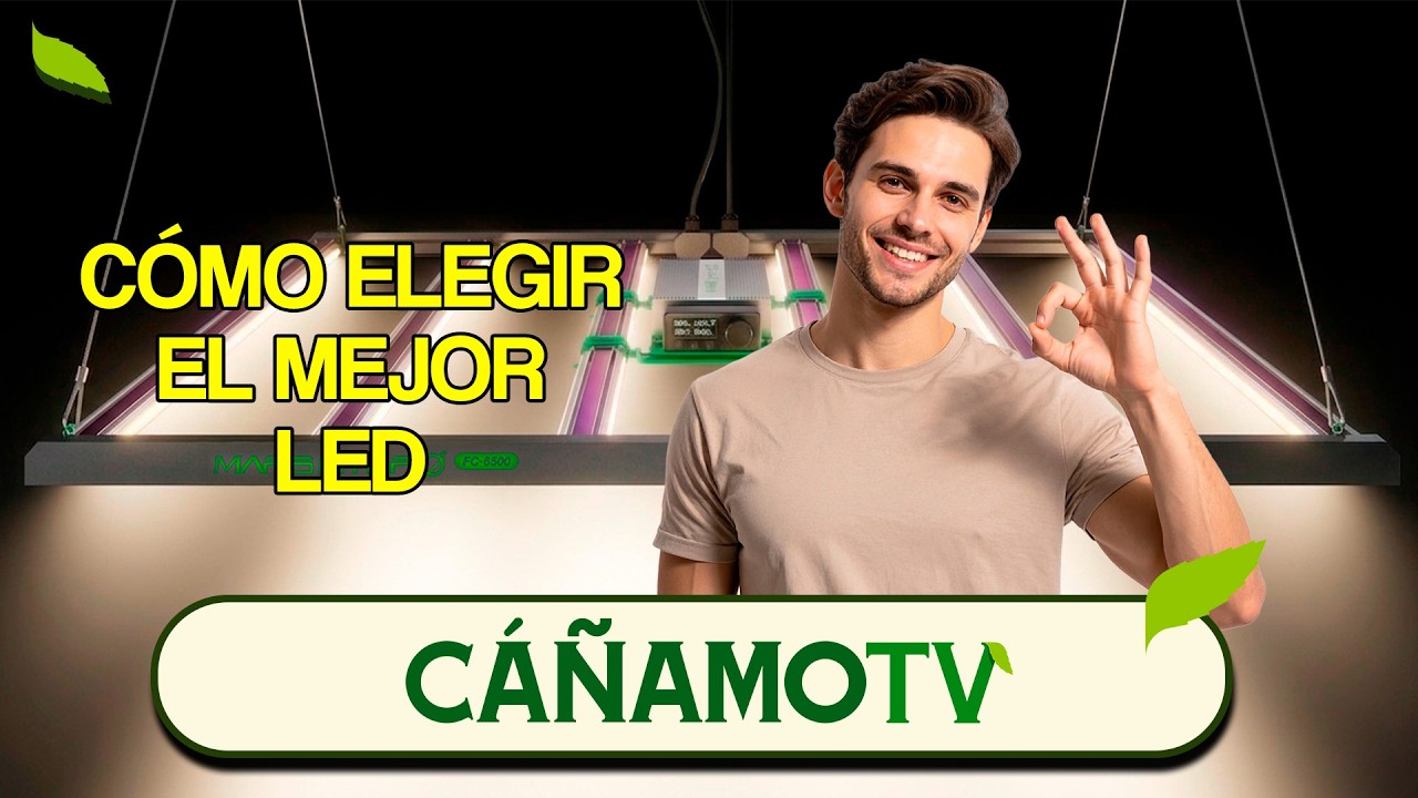 CONSEJOS PARA COMPRAR EL MEJOR LED 💡 Mars Hydro 420