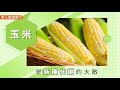 【影音版】減重關鍵：點燃新陳代謝　別碰這5種地雷食物