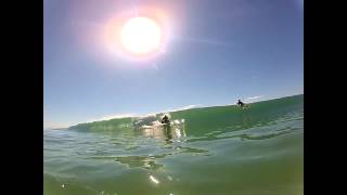 Salty Single Fin Seagulls!