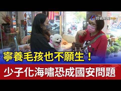台灣養寵物人口
