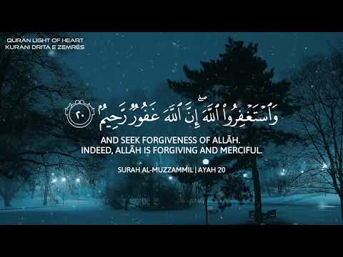 Beautiful Quran Recitation By Sheikh Abdul Rahman Mossad 🎧❤️‍🩹🤲🇵🇸😔