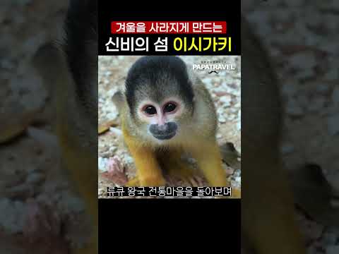 단 2시간 30분 만에 현실감 없는 겨울을 날려버릴 매혹의 섬, 이시각키!