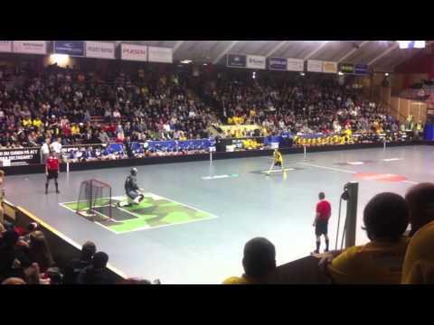 Innebandylandslaget i Borås