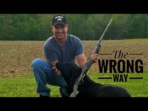 TOP 3 mistakes PEOPLE make introducing the GUN to their DOG!!