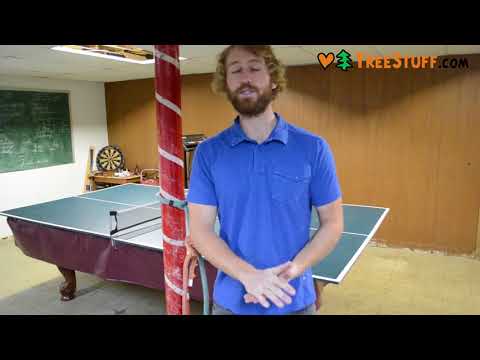 YouTube Thumbnail SqHBQ3dCU9o