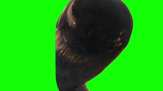 Venom winking green screen