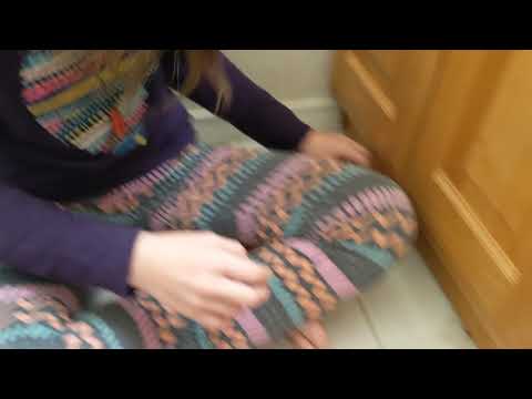 Woodrat plays nip and run away