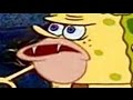 Dank Memes Vine Compilation JUNE 2016 V4