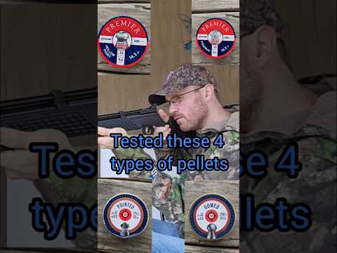 Crosman 3622 PCP Air Rifle - FULL REVIEW