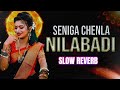 Seniga Chenla Nilabadi Telugu Folk Slow Reverb Song 2024
