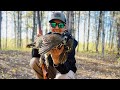 Video Thumbnail for Best Grouse hunting tips (for beginners)