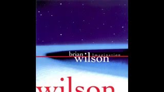 South American- Brian Wilson