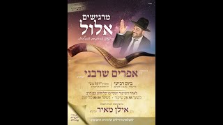 מרגישים אלול בחודש הרחמים והסליחות- ראשון לציון- שידור חי- הרב אפרים שרבני (הרב אפרים שרבני) - התמונה מוצגת ישירות מתוך אתר האינטרנט יוטיוב. זכויות היוצרים בתמונה שייכות ליוצרה. קישור קרדיט למקור התוכן נמצא בתוך דף הסרטון