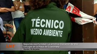 Segunda oportunidad: La emotiva liberaci&oacute;n de dos tortugas en la Playa de Guacimeta