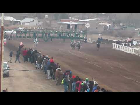 Octava carrera, Premio Haras Patagonia, distancia 400 metros