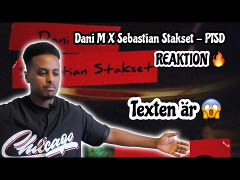 DANI M, SEBASTIAN STAKSET - PTSD (REAKTION) 🔥🥺